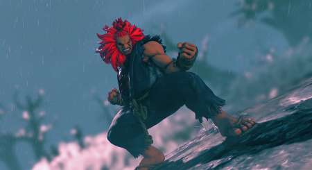 Street Fighter V Season 2 Character Pass 2