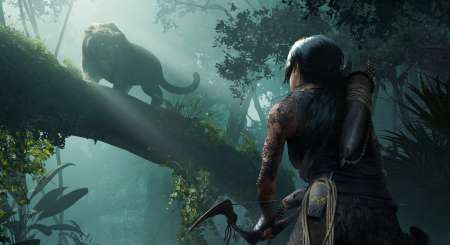 Shadow of the Tomb Raider 6