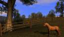 Agricultural Simulator 2011 Extended Edition 2