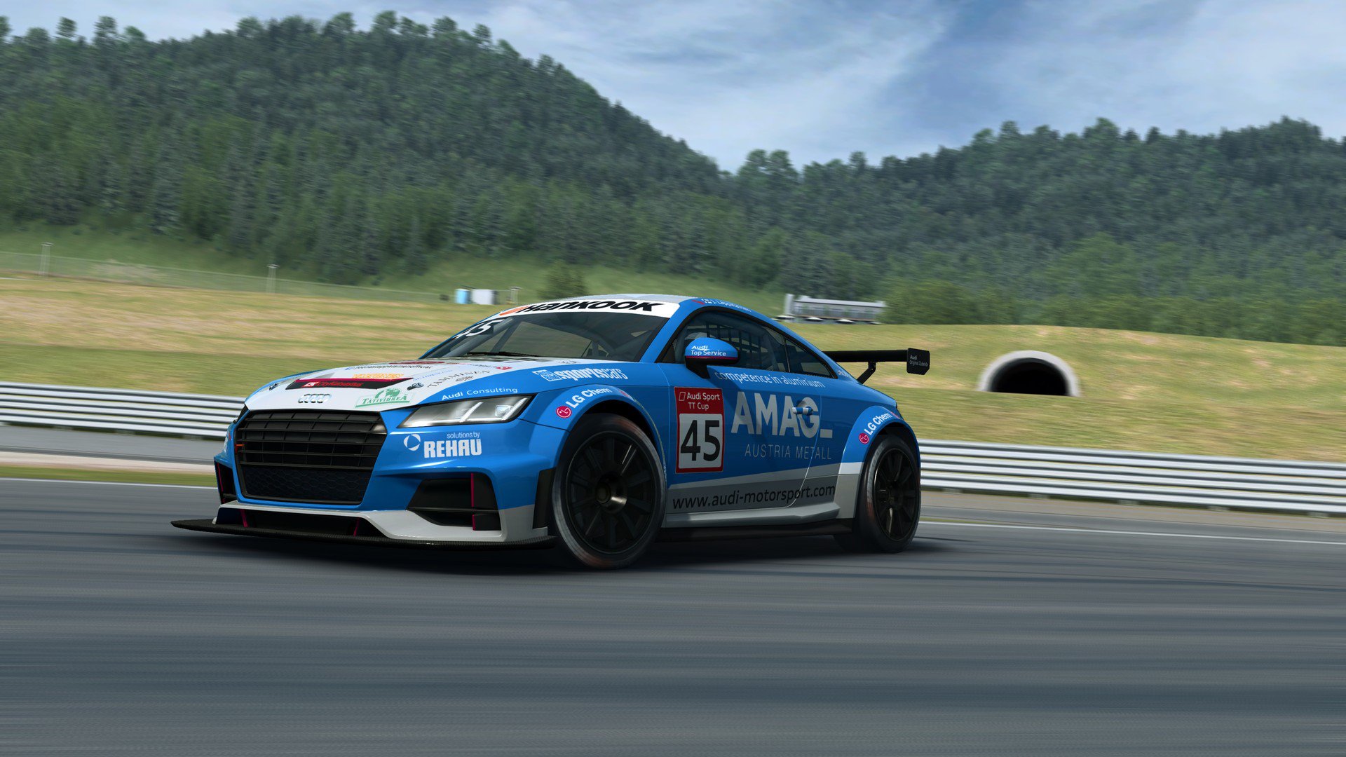 RaceRoom Audi Sport TT Cup 2015 10