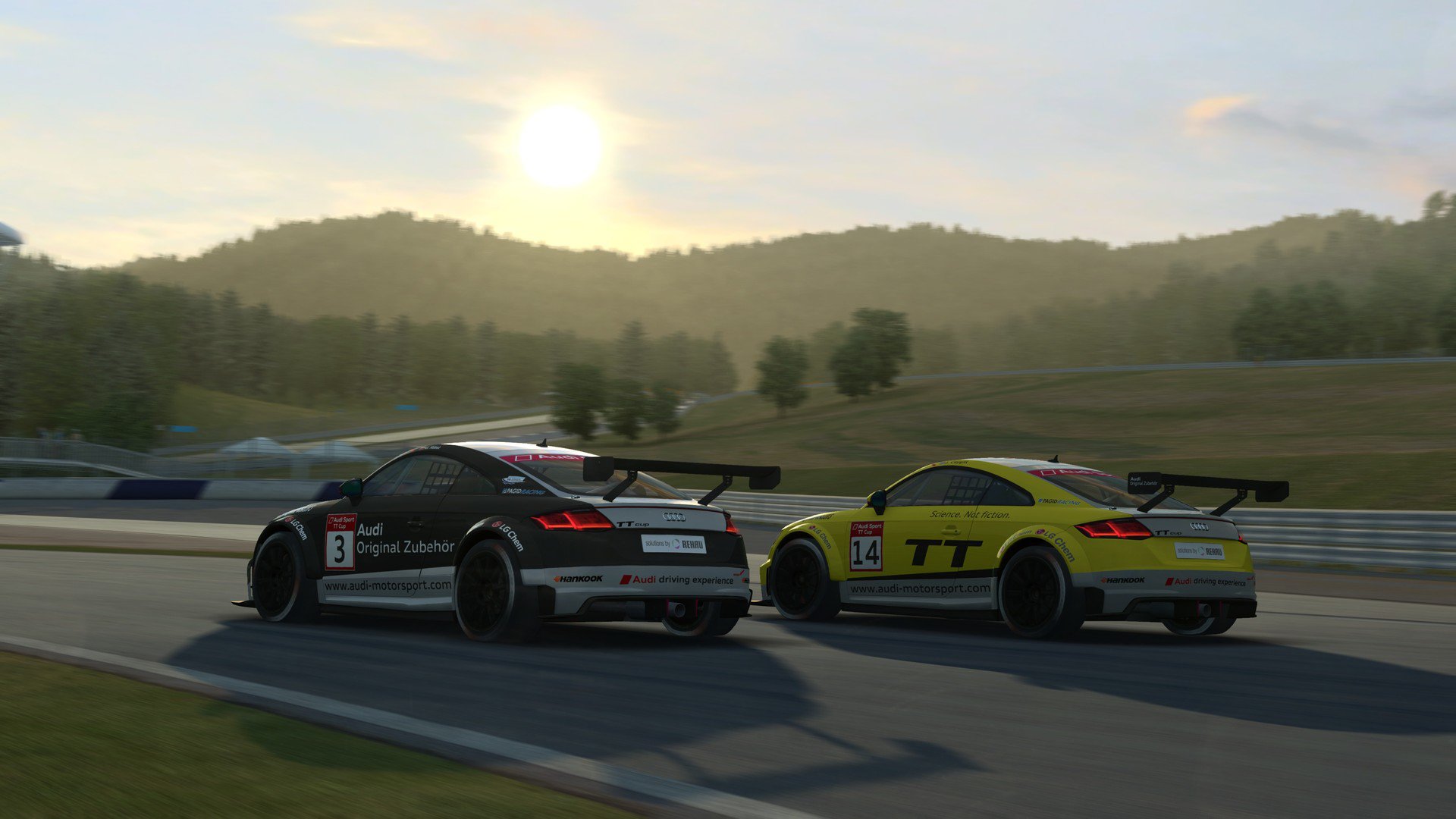 RaceRoom Audi Sport TT Cup 2015 11