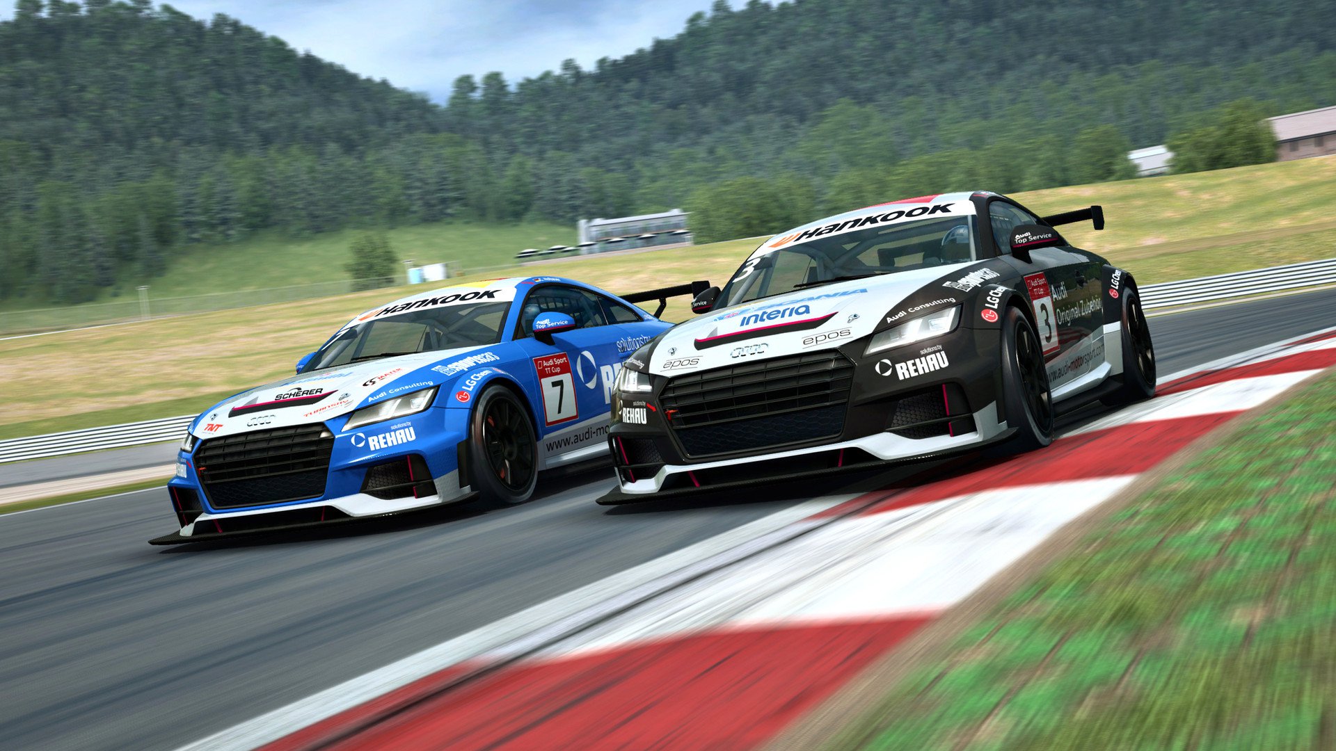 RaceRoom Audi Sport TT Cup 2015 9