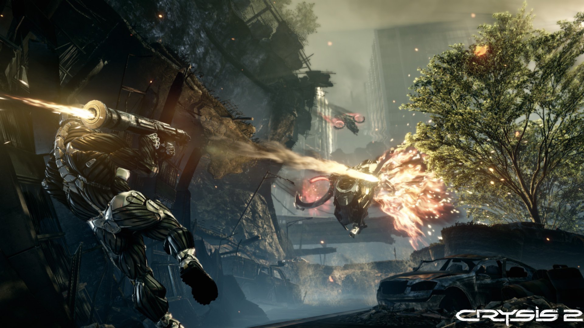 Crysis 2 Maximum Edition 8