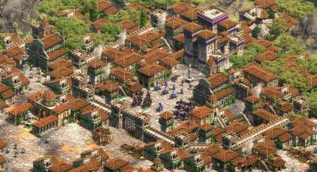 Age of Empires II Definitive Edition 9