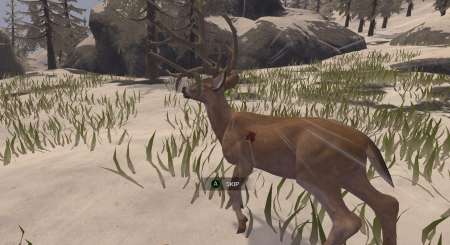 Deer Hunter Reloaded 3