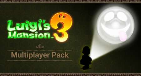 Luigi's Mansion 3 Multiplayer Pack 3