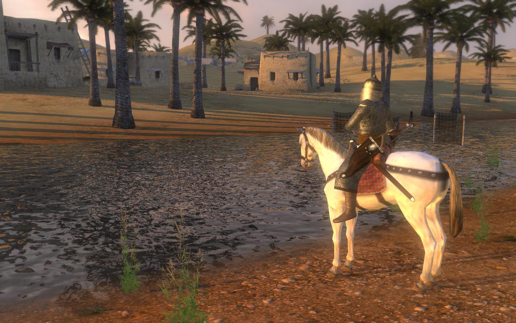 Mount and Blade Warband 5