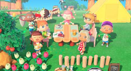 Animal Crossing New Horizons 4