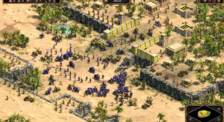 Age of Empires Definitive Edition 5