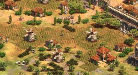 Age of Empires II Definitive Edition 2