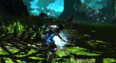 Kingdoms of Amalur Re-Reckoning FATE Edition 2