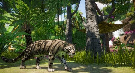 Planet Zoo Southeast Asia Animal Pack 6