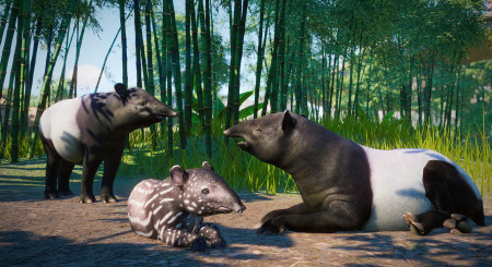 Planet Zoo Southeast Asia Animal Pack 9