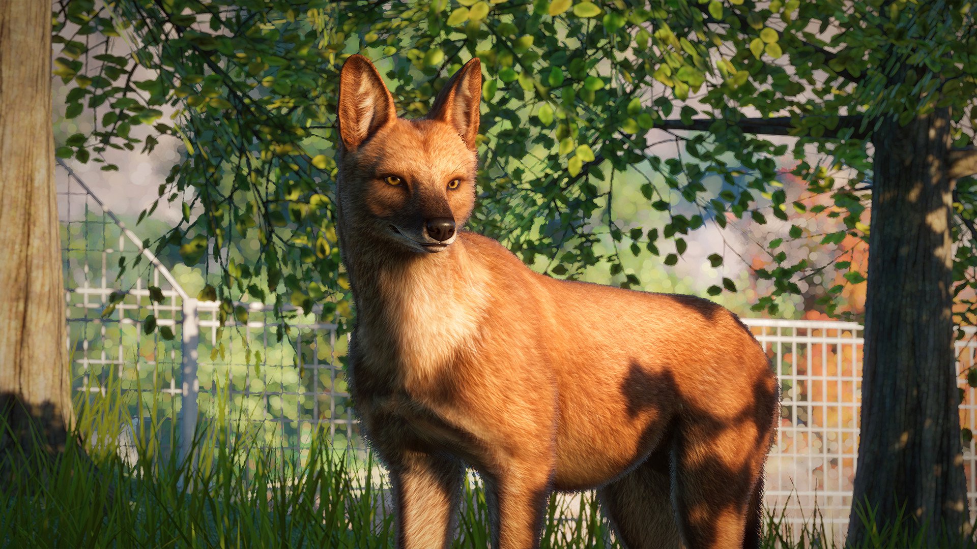 Planet Zoo Southeast Asia Animal Pack 5