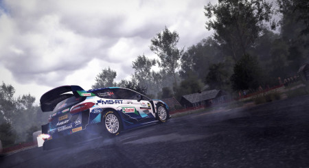 WRC 10 4