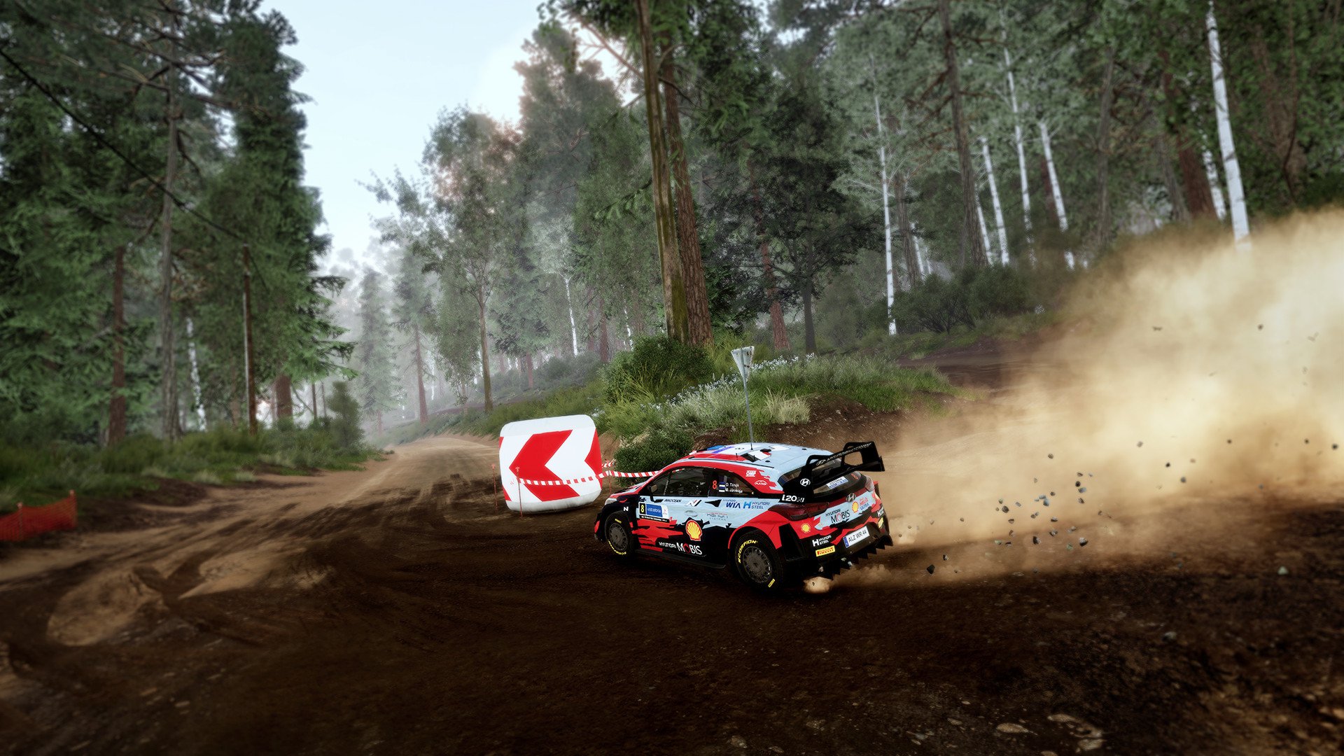 WRC 10 5