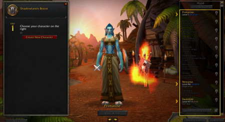 World of Warcraft Shadowlands Level Character Boost 1