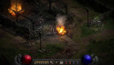 Diablo II Resurrected 3