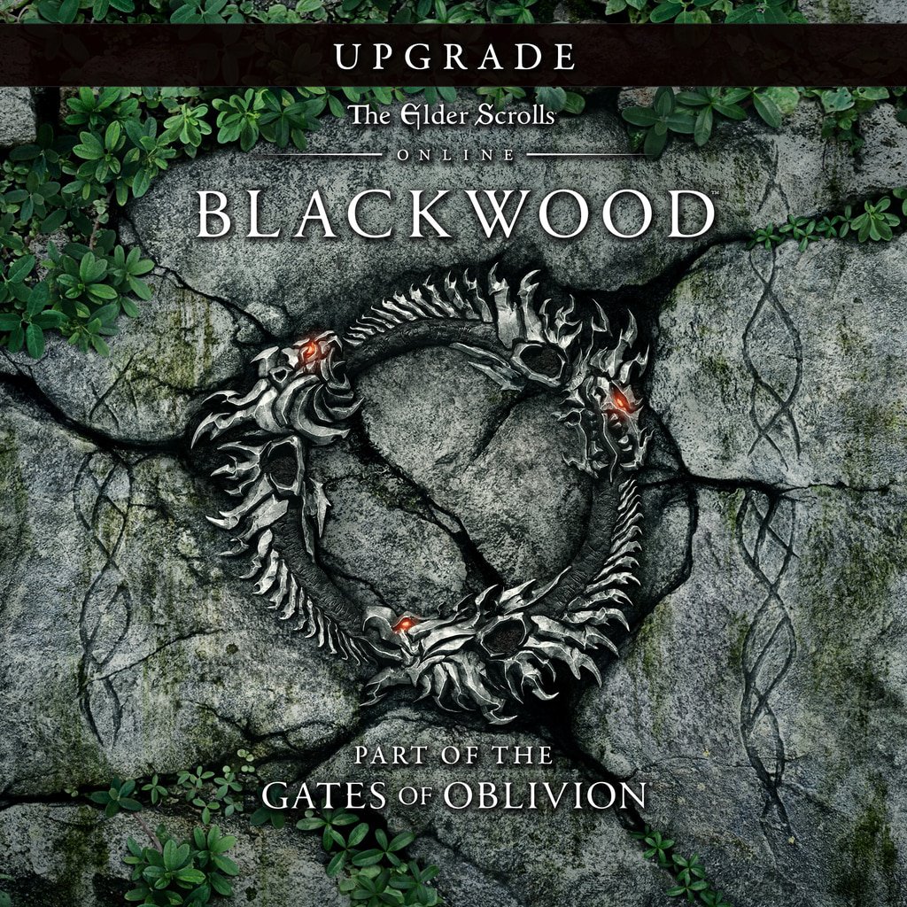 The Elder Scrolls Online Blackwood Upgrade 6