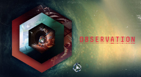 Observation 11