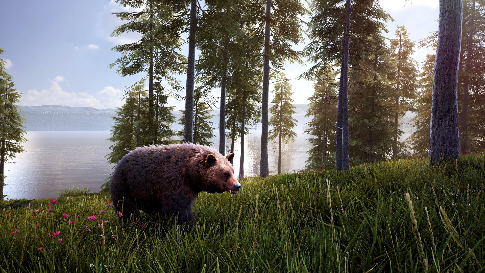 Hunting Simulator 2 Bear Hunter Edition 12