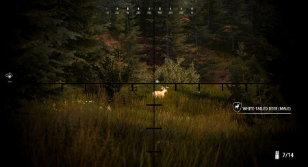 Hunting Simulator 2 Bear Hunter Edition 6