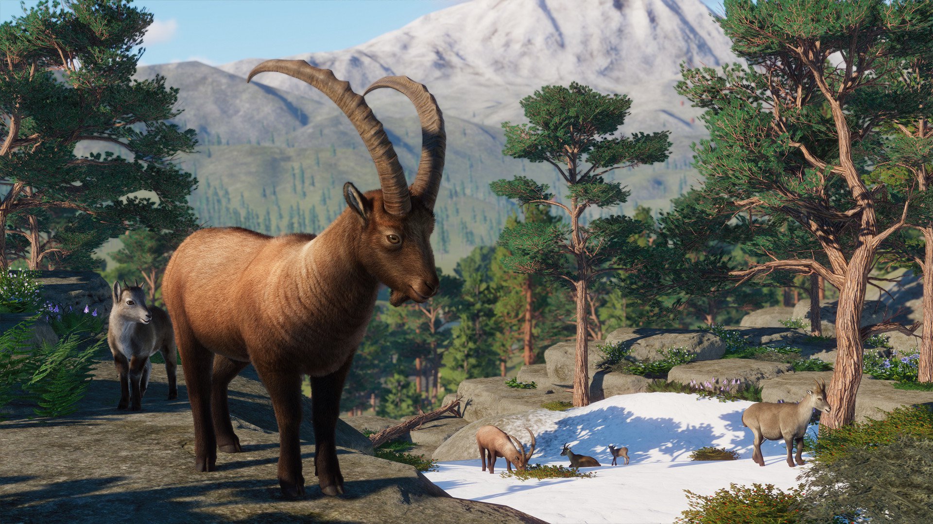 Planet Zoo Europe Pack 3
