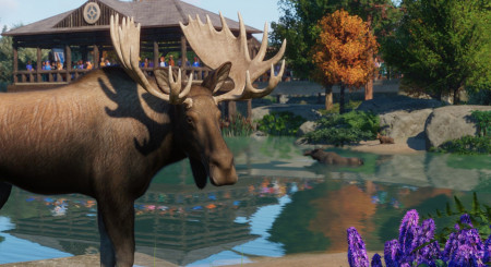 Planet Zoo North America Animal Pack 2