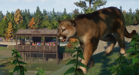Planet Zoo North America Animal Pack 7