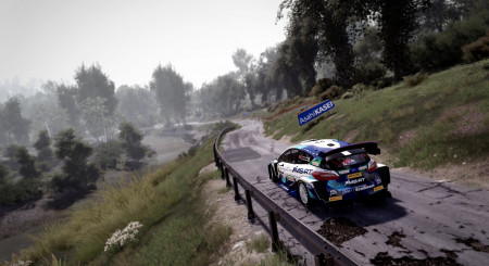 WRC 10 Deluxe Edition 9