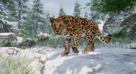 Planet Zoo Conservation Pack 5