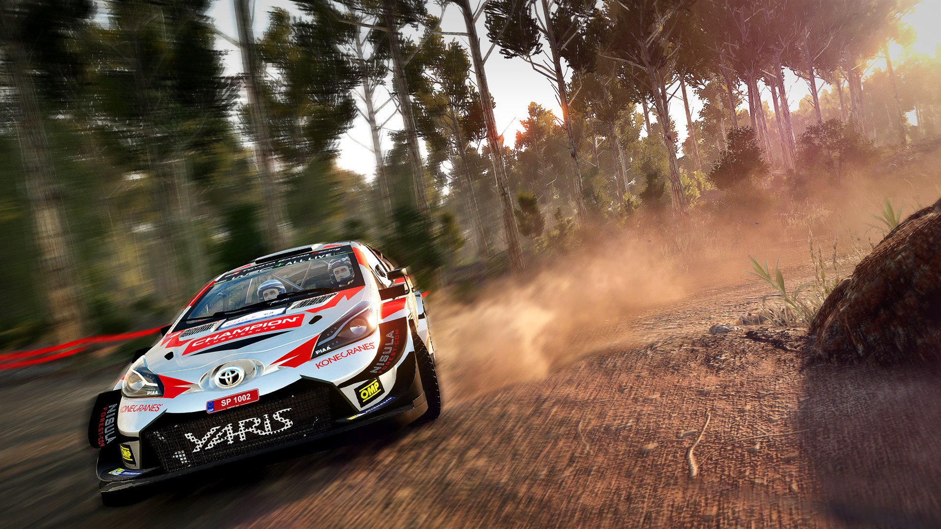 WRC 8 Deluxe Edition 10