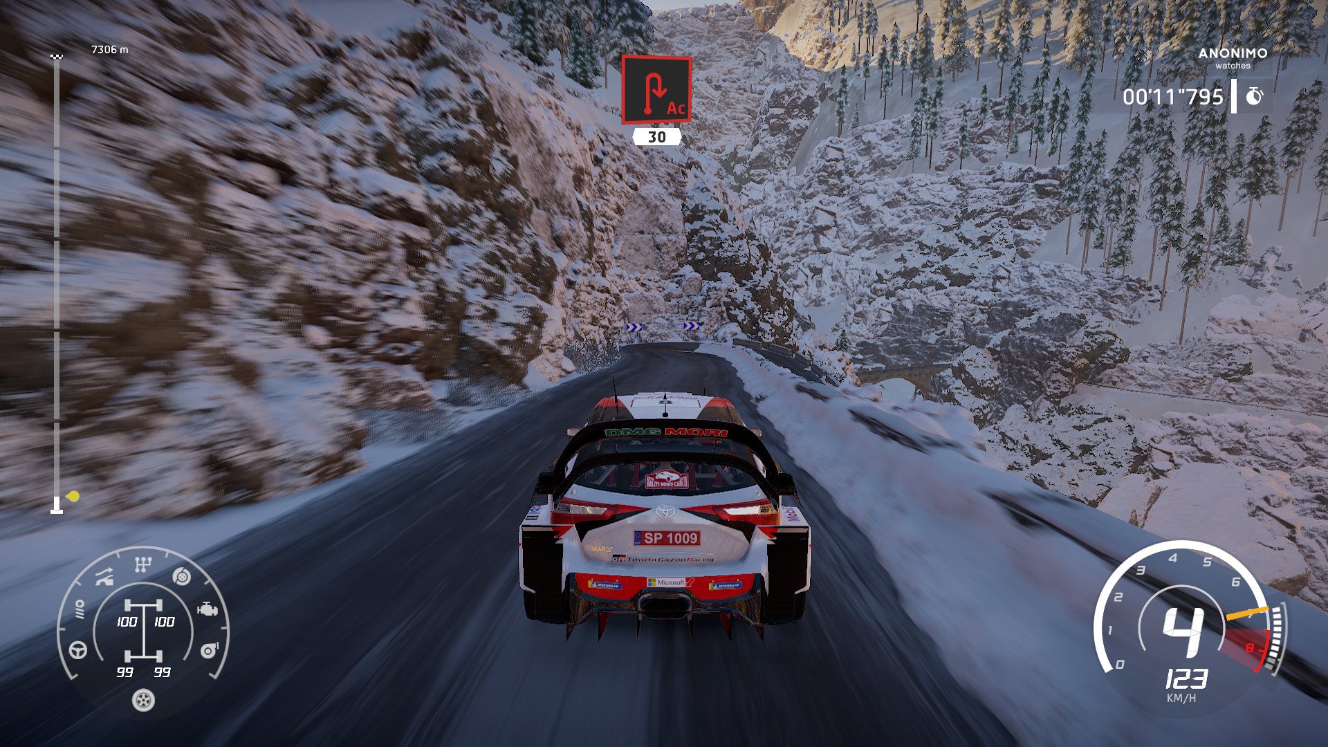 WRC 8 Deluxe Edition 11