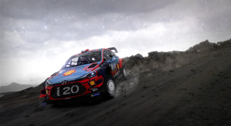 WRC 8 Deluxe Edition 7