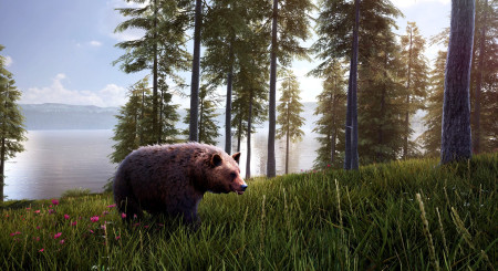 Hunting Simulator 2 Bear Hunter Pack 1