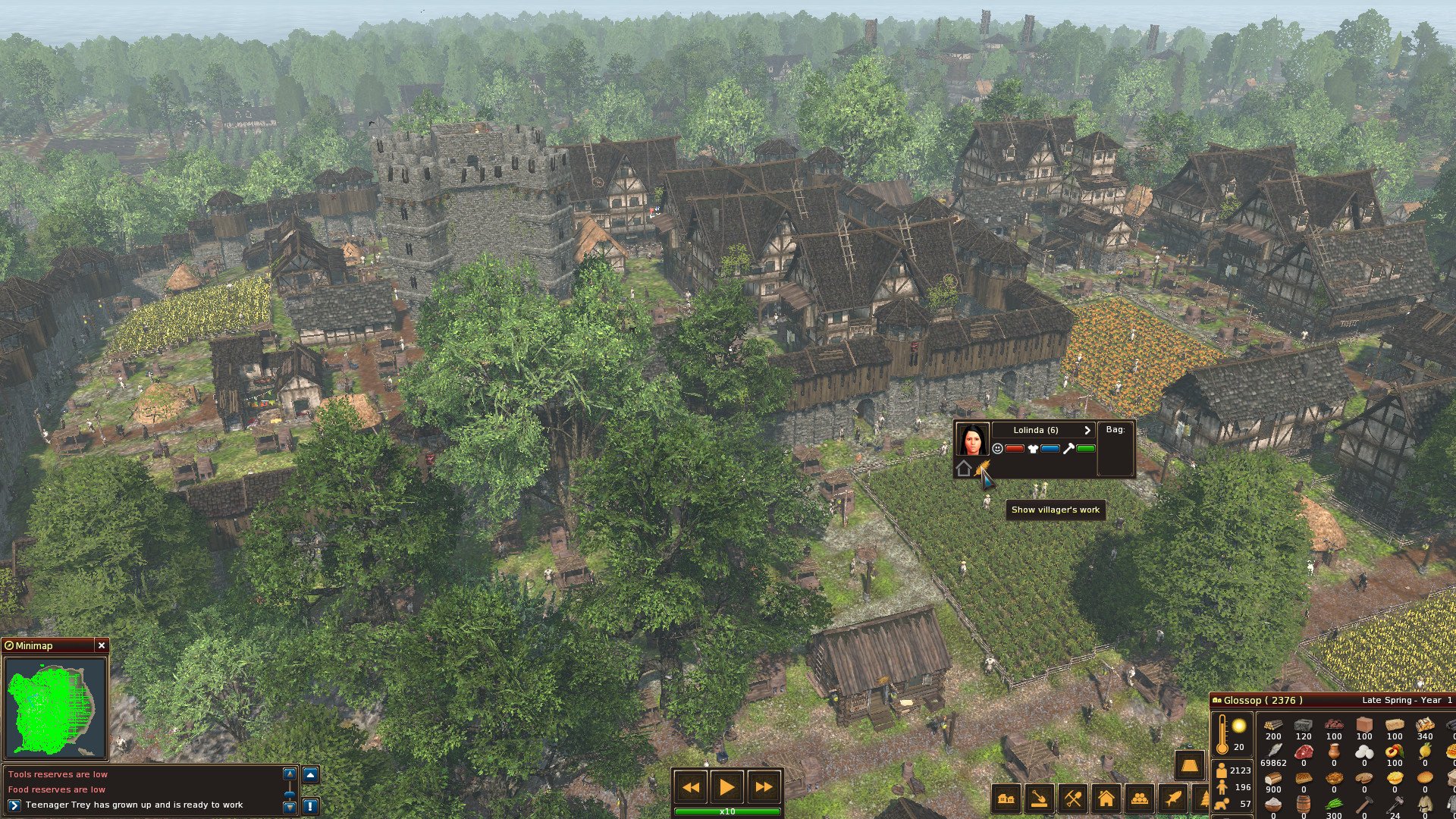 Life is Feudal Forest Village 2