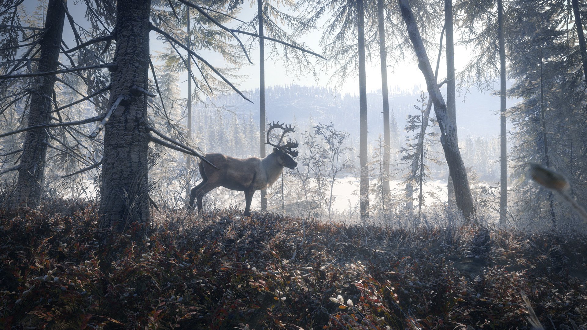 theHunter Call of the Wild Medved-Taiga 1