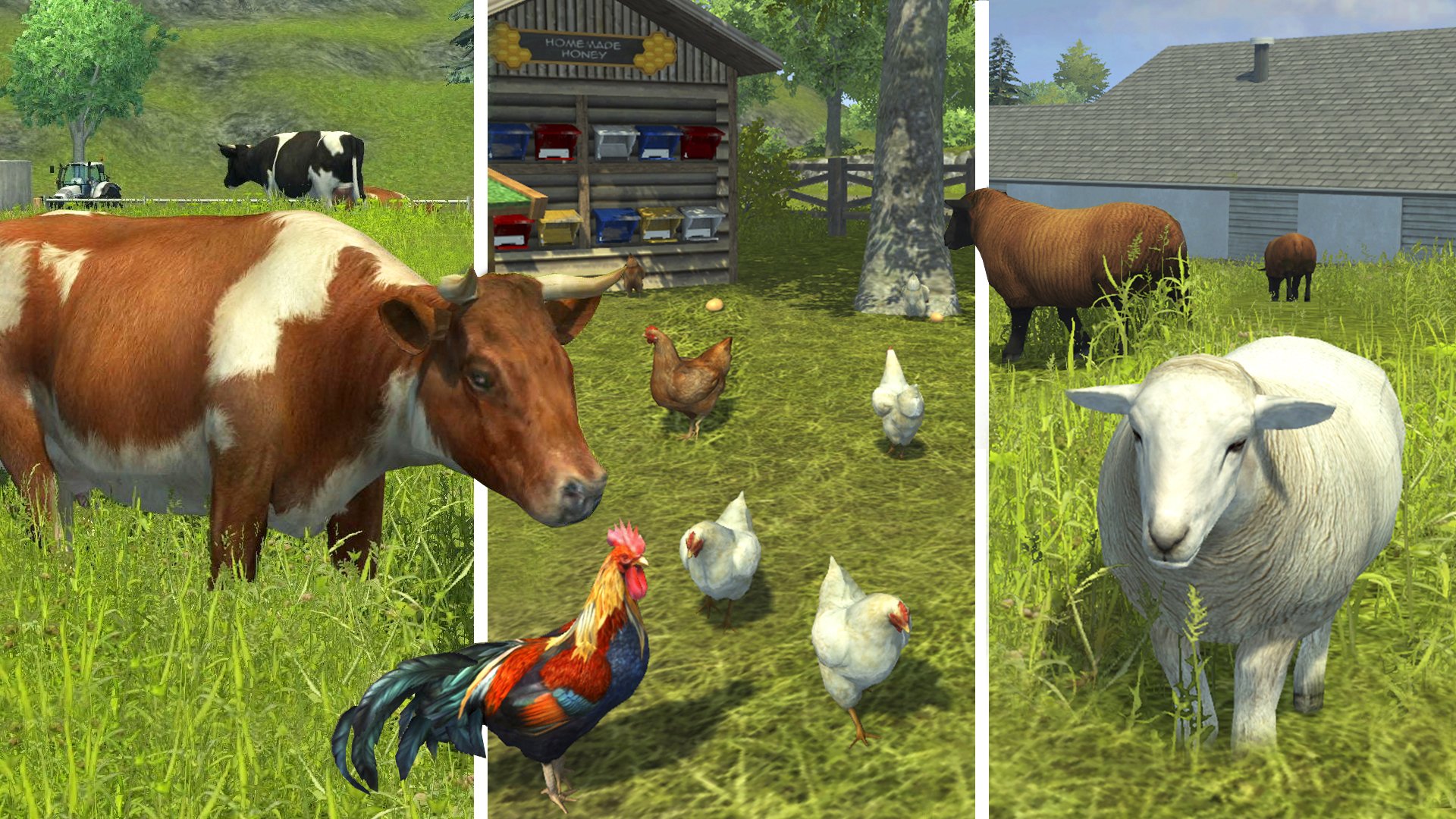Farming Simulator 2013 Titanium Edition 12
