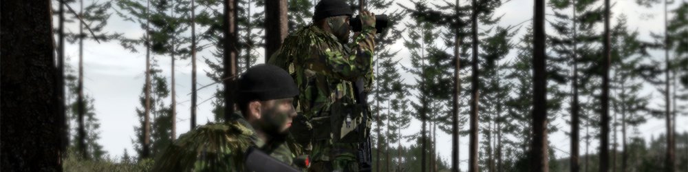 Arma II British Armed Forces, Arma 2