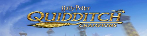 Harry Potter Quidditch Champions